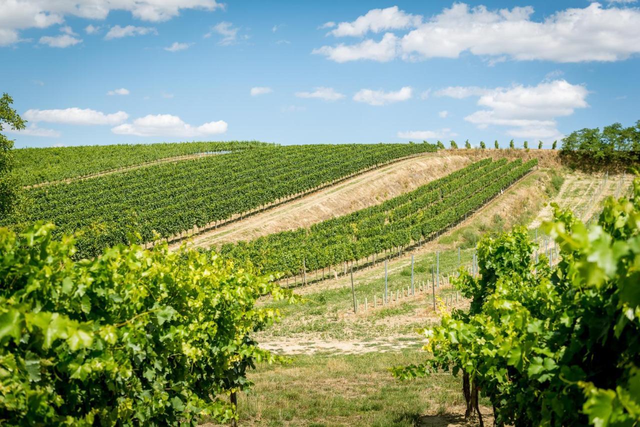 Hotel Weingut Burger Kalladorf Exteriér fotografie